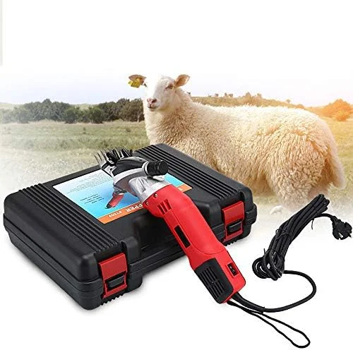 چیدن پشم گوسفند