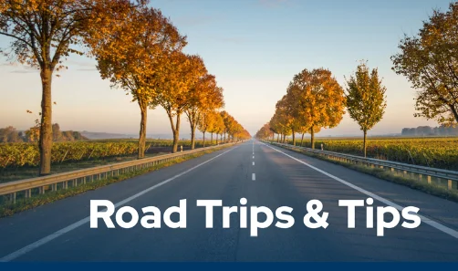 ۱۰ نکته مهم برای سفرهای جاده‌ای ایمن و بی‌دردسر