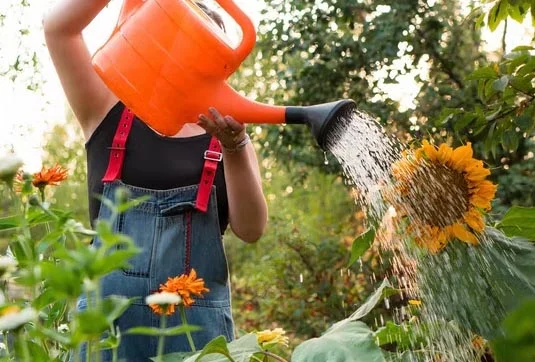 آبیاری باغچه