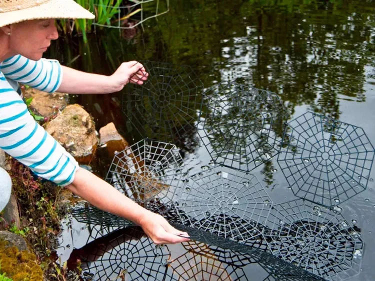 محافظ تالاب