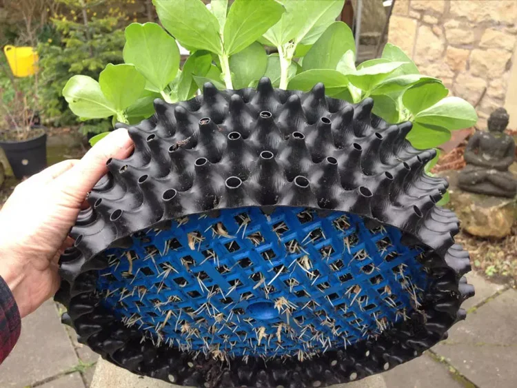 گلدان‌های هوا