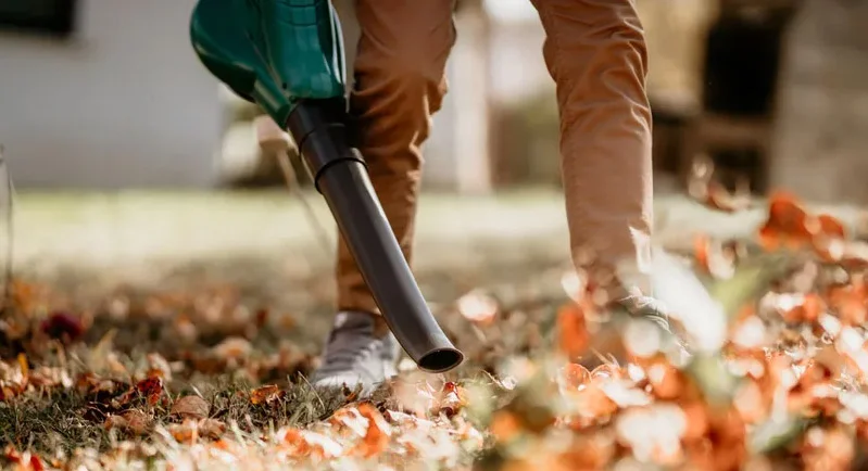 خرید بلوور برقی