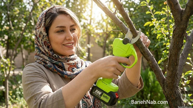 نحوه استفاده از قیچی شارژی باغبانی