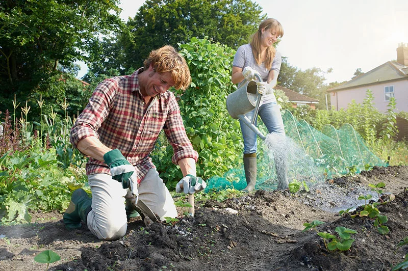 بهترین ابزار باغبانی